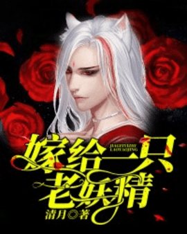 嫁给狐狸的小说
