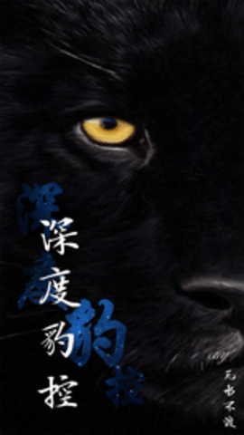 深度豹控