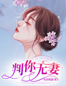 判你无妻律师小说-判你无妻火星机器著-有一眼