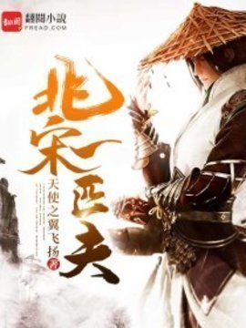 北宋一匹夫精校版--北宋一匹夫天使之翼飞扬著-有一眼