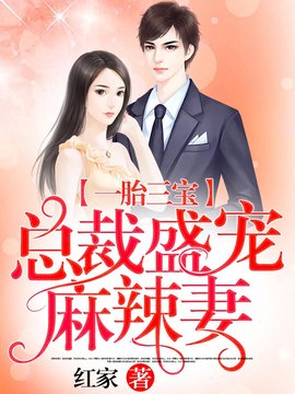 一胎三宝：总裁盛宠麻辣妻小说阅读-一胎三宝：总裁盛宠麻辣妻-有一眼