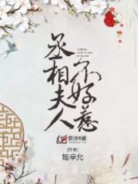 丞相夫人不好惹