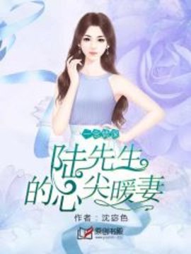 一念情深：陆先生的心尖暖妻小说阅读-一念情深：陆先生的心尖暖妻沈宓色著-有一眼