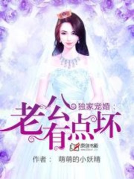 独家宠婚：老公有点坏