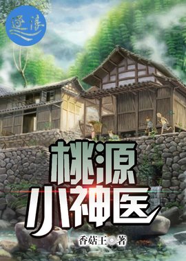 桃源小神医王铁生