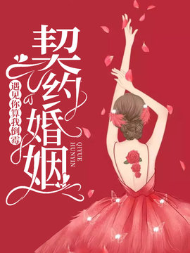 契约婚姻：遇见你算我倒霉