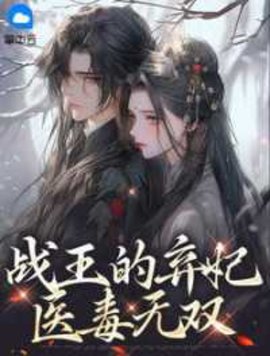 战王的弃妃医毒无双