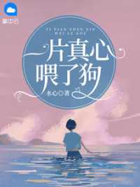 高茹徐泽
