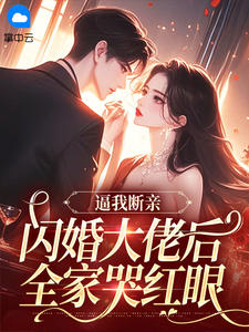 陆知意傅时砚