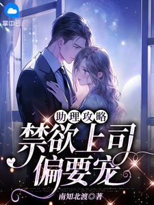 助理攻略，禁欲上司偏要宠我小说阅读-助理姜羽溪和上司霍辰西的小说-有一眼